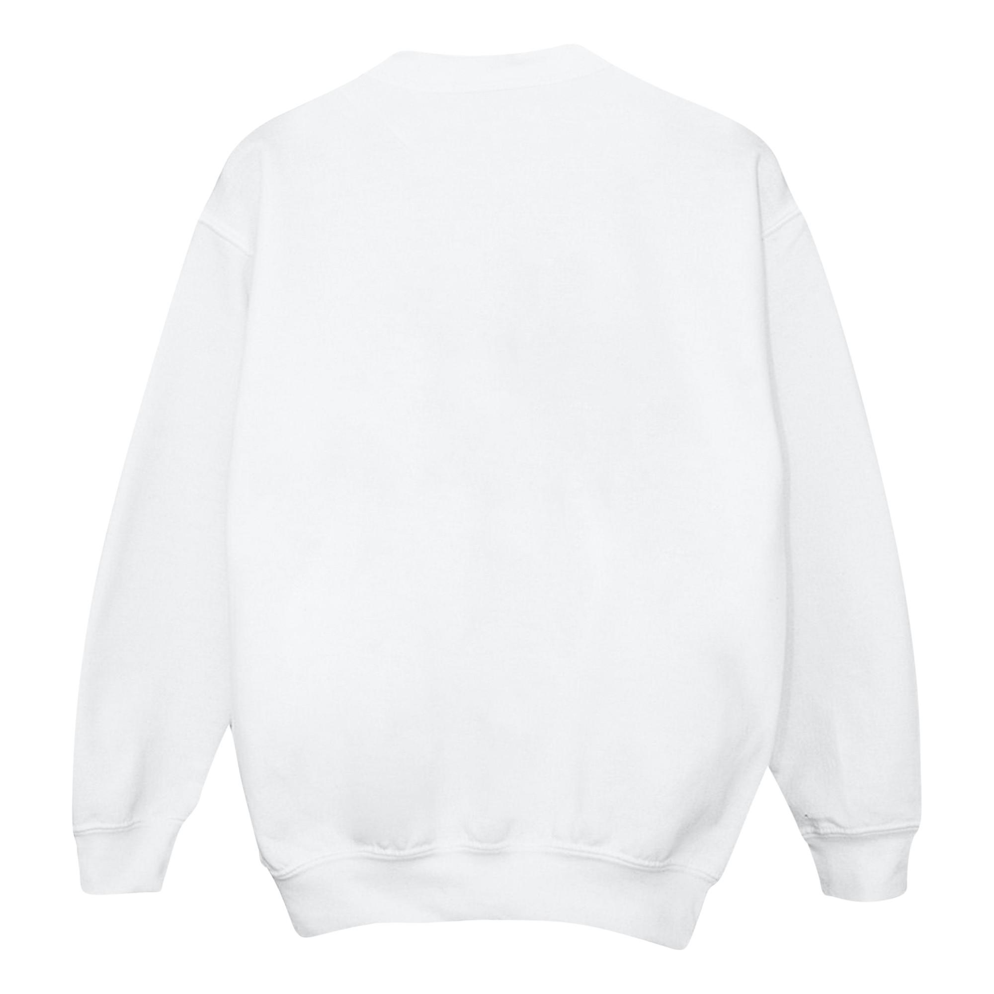 Disney  Encanto Sweatshirt 