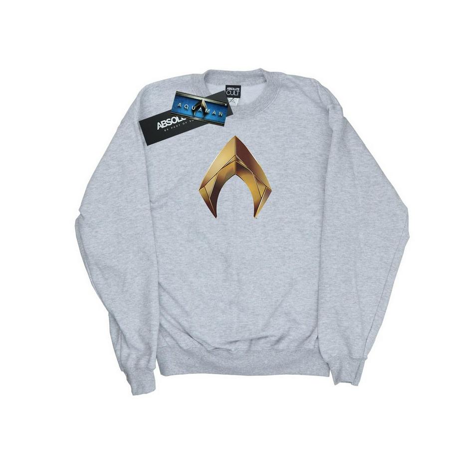 DC COMICS Aquaman Logo Regular Fit Sweatshirt  