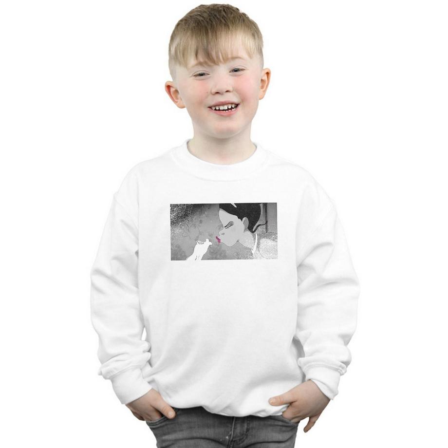 Disney  The Princess And The Frog Sweatshirt 