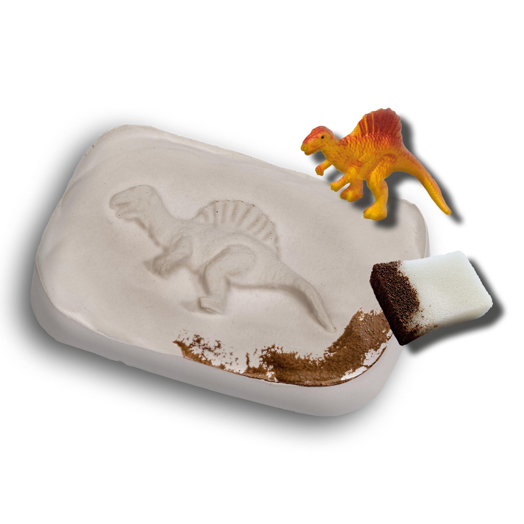 SES  Kreativ Dino Fossilien 