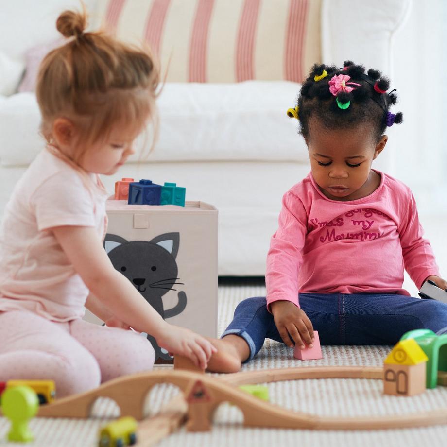 B2X Boîte de rangement avec motif chat  