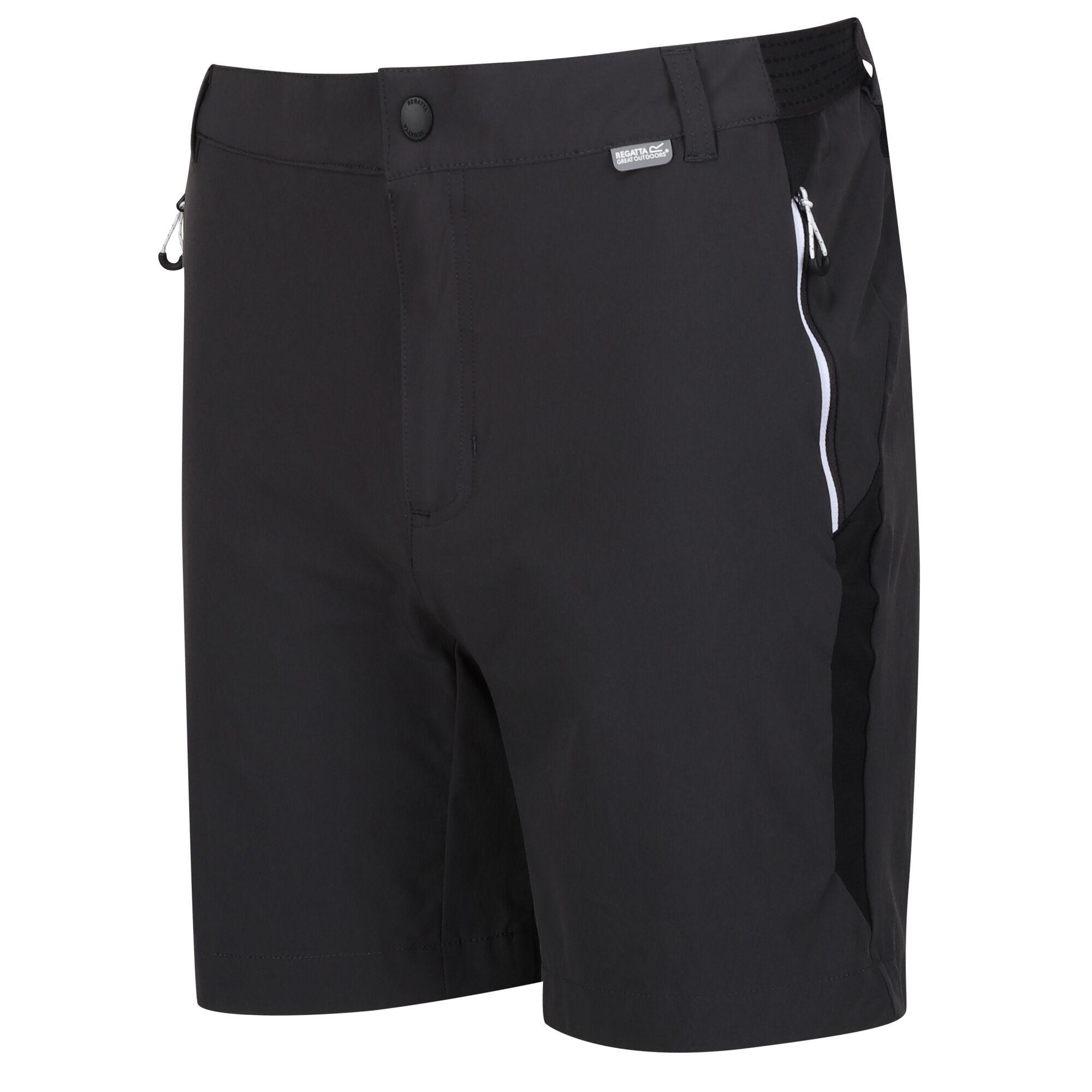 Regatta  Mountain II Shorts 