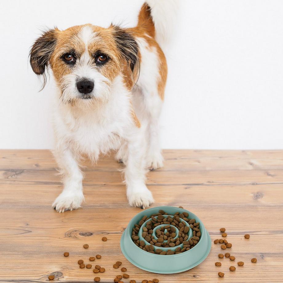 B2X  Anti-Schleuder-Schüssel 400 ml 