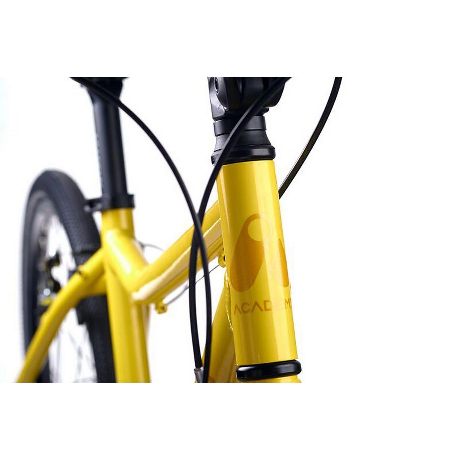 ACADEMY  24" Grade 5 Belt 