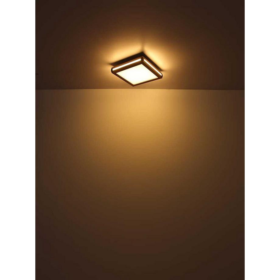 mutoni light Deckenleuchte Carla LED  