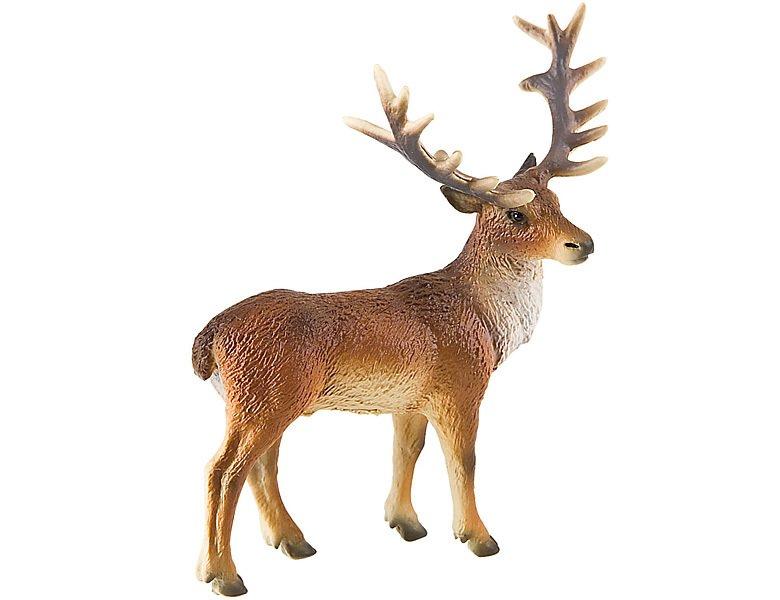 Image of Animal World Rothirsch