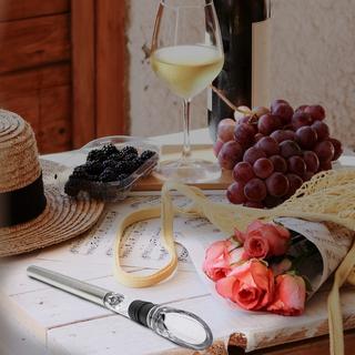 Mad Monkey Bâtonnets refroidisseurs de vin  