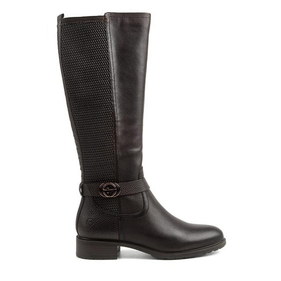 Tamaris  Elpida-40 