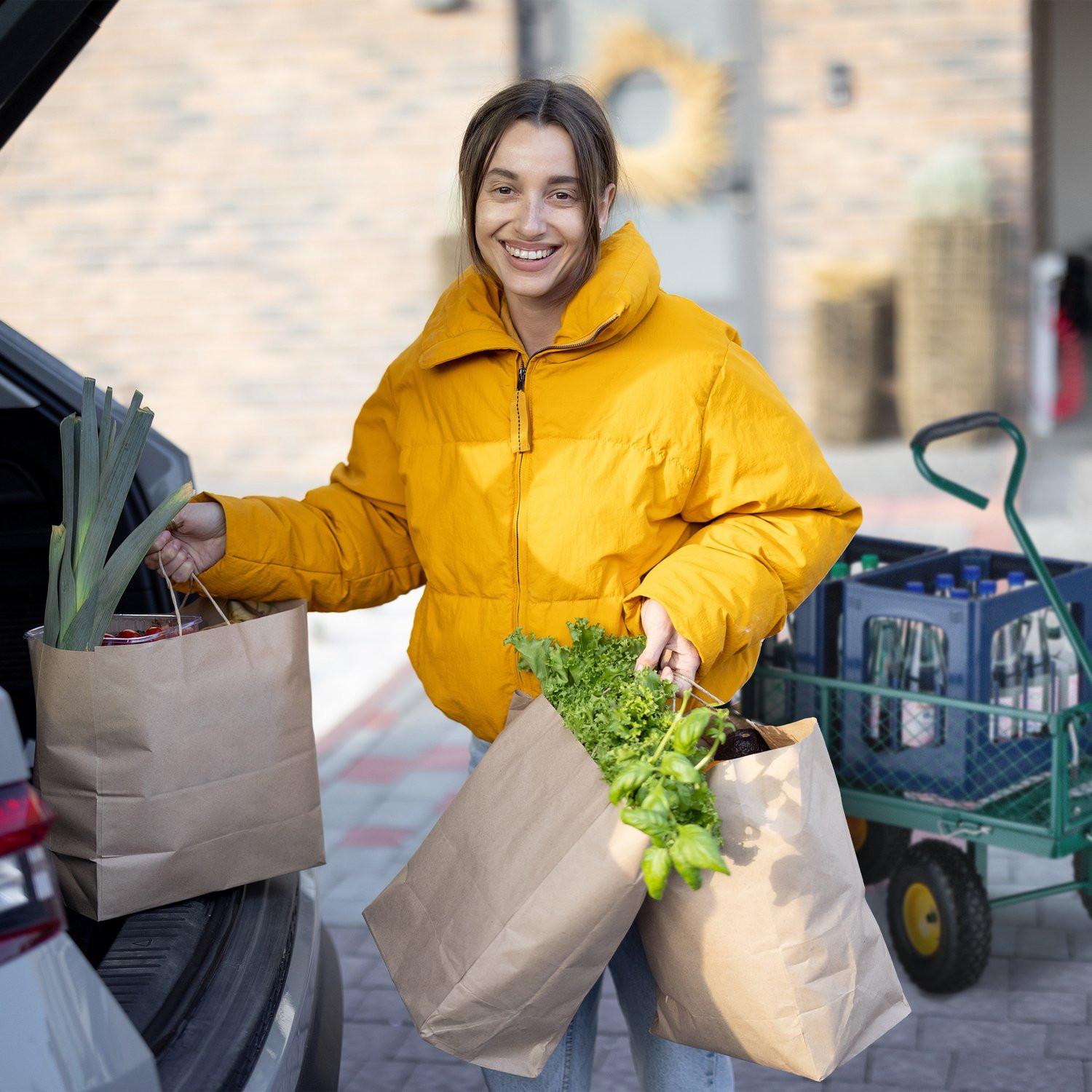 Northio charrette à bras verte  