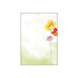 Sigel SIGEL Motiv-Papier A4 DP123 Spring Flowers 90g,50 Blatt  