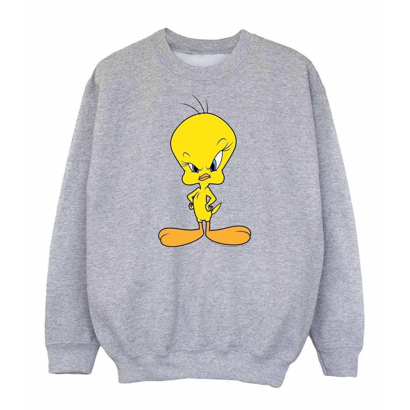 Image of Sweatshirt Mädchen Grau 116