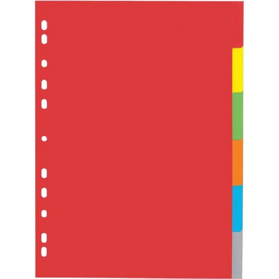 Pagna PAGNA Register Karton A4 31061-20 farbig 6-teilig  