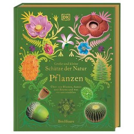 Große und kleine Schätze der Natur. Pflanzen Hoare, Ben; DK Verlag - Kids (Hrsg.); Sixt, Eva (Übersetzung) Gebundene Ausgabe 