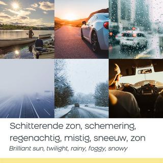 Figuretta HD Brillen-Überzieh-Sonnenbrille Panter  