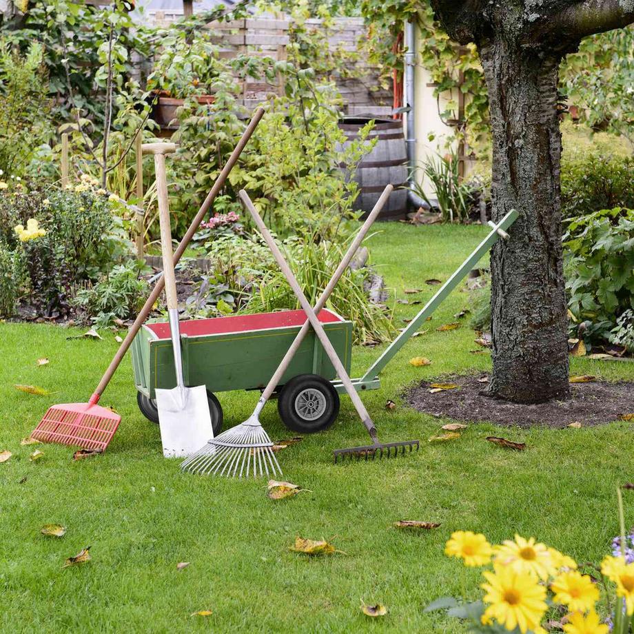 B2X  Roues pour brouette 4.00-6 