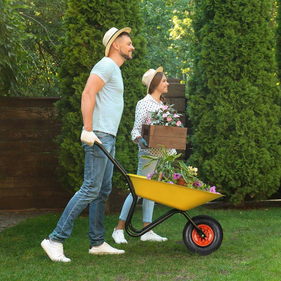 B2X  Roues pour brouette 4.00-6 