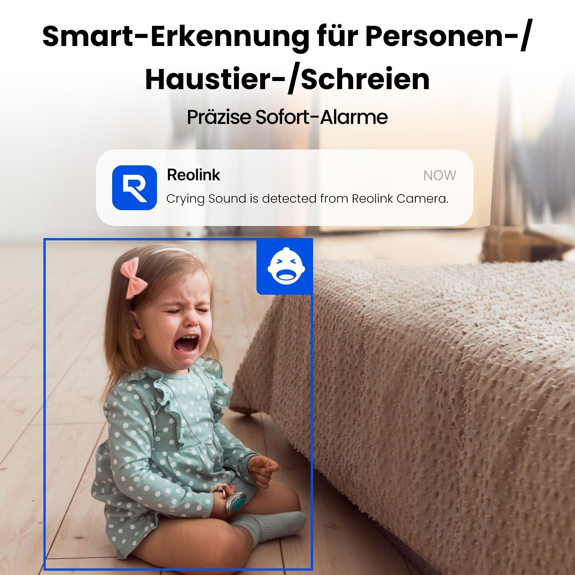 Reolink  E321 Caméra Wifi Super-HD 