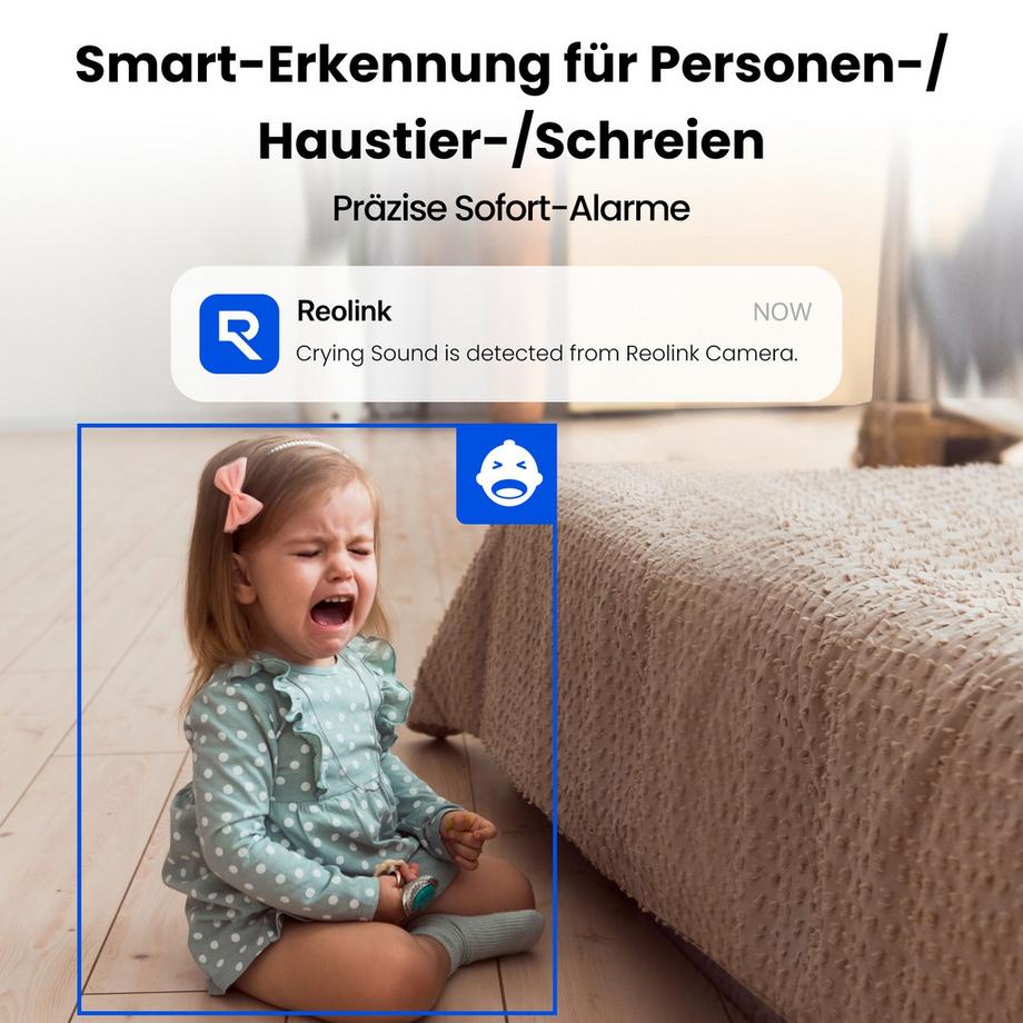 Reolink  E321 Telecamera Wifi Super-HD 