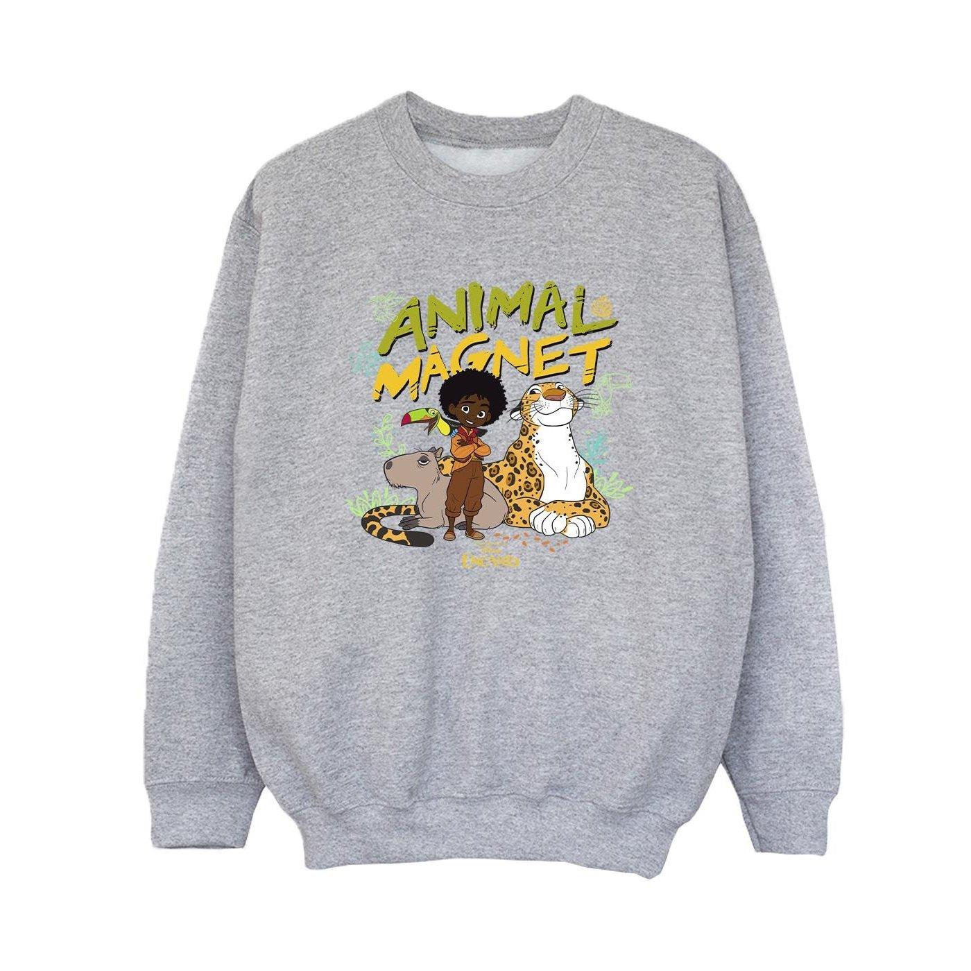 Image of Encanto Animal Magnet Sweatshirt Unisex Grau 104