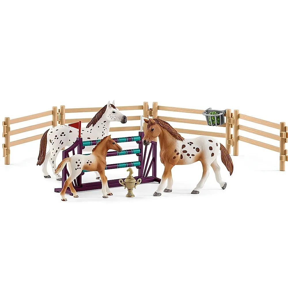 Image of Horse Club Lisas Turnier-Training Multicolor