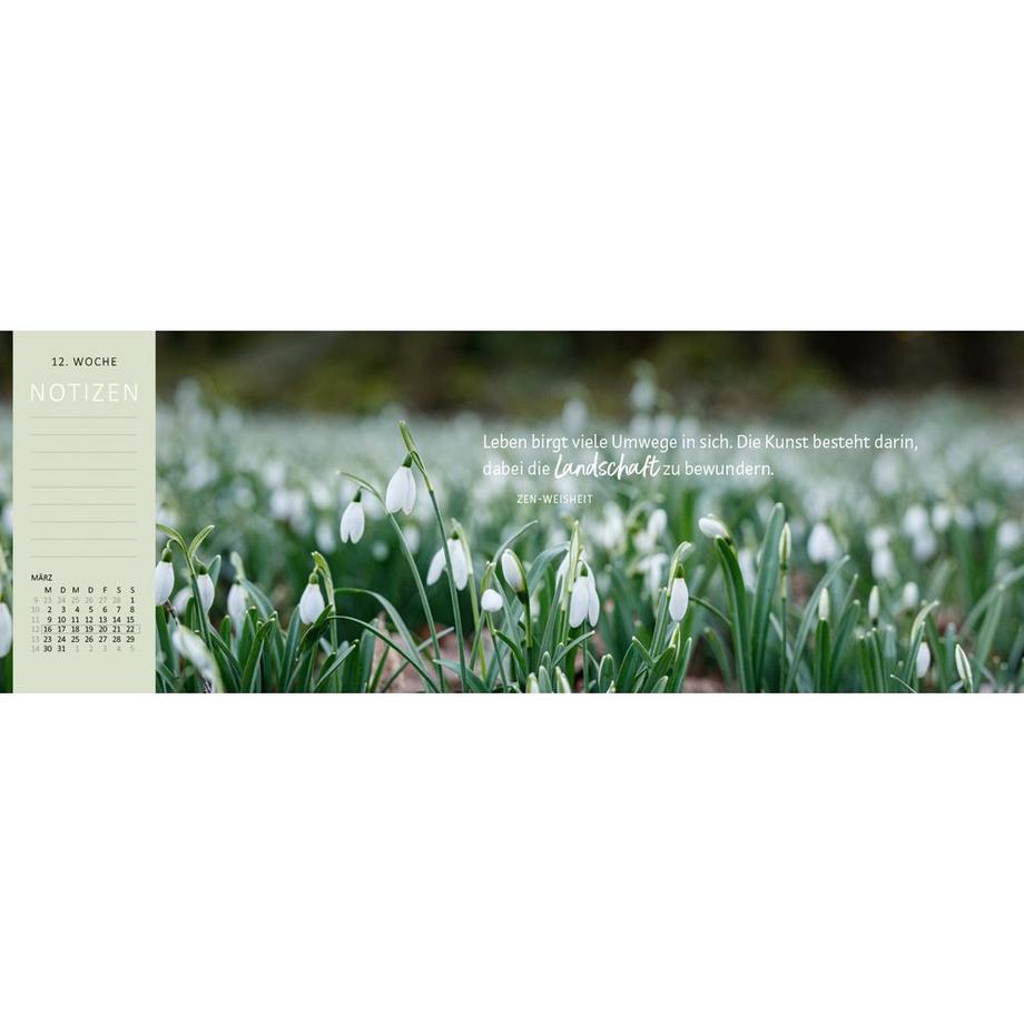 ARS EDITION Calendrier de bureau Jour préféré  