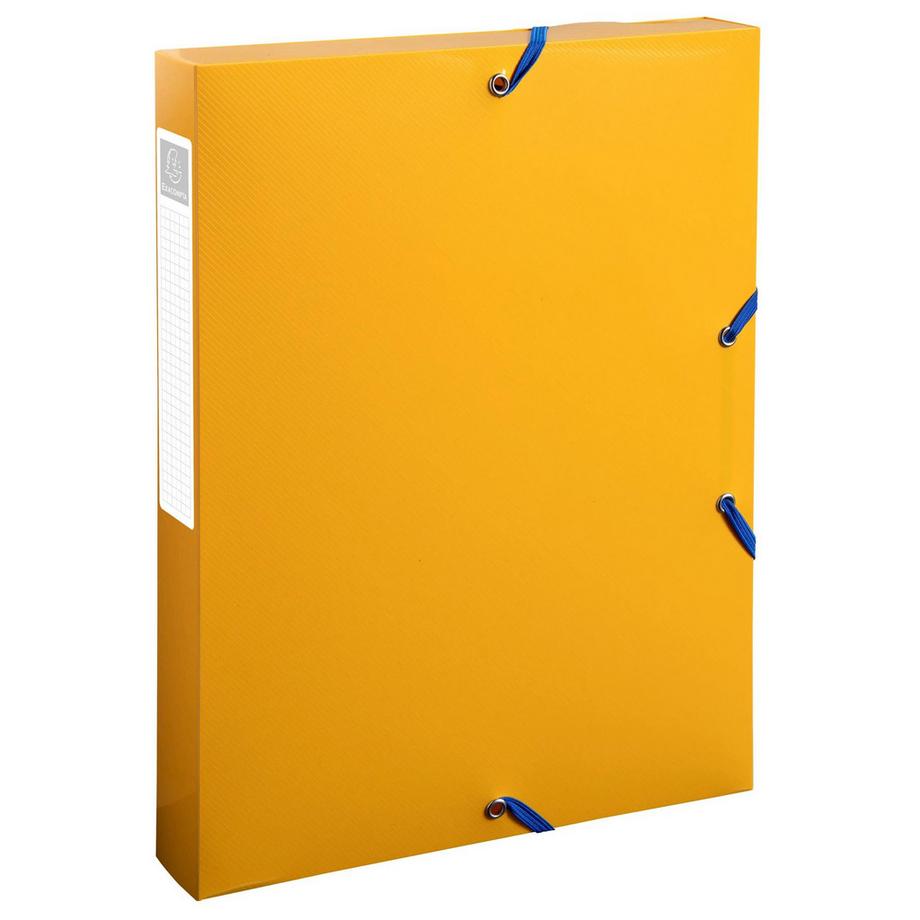 Exacompta Cartella portaprogetti polipropilene riciclato Beee dorso 40mm - A4 - x 8  