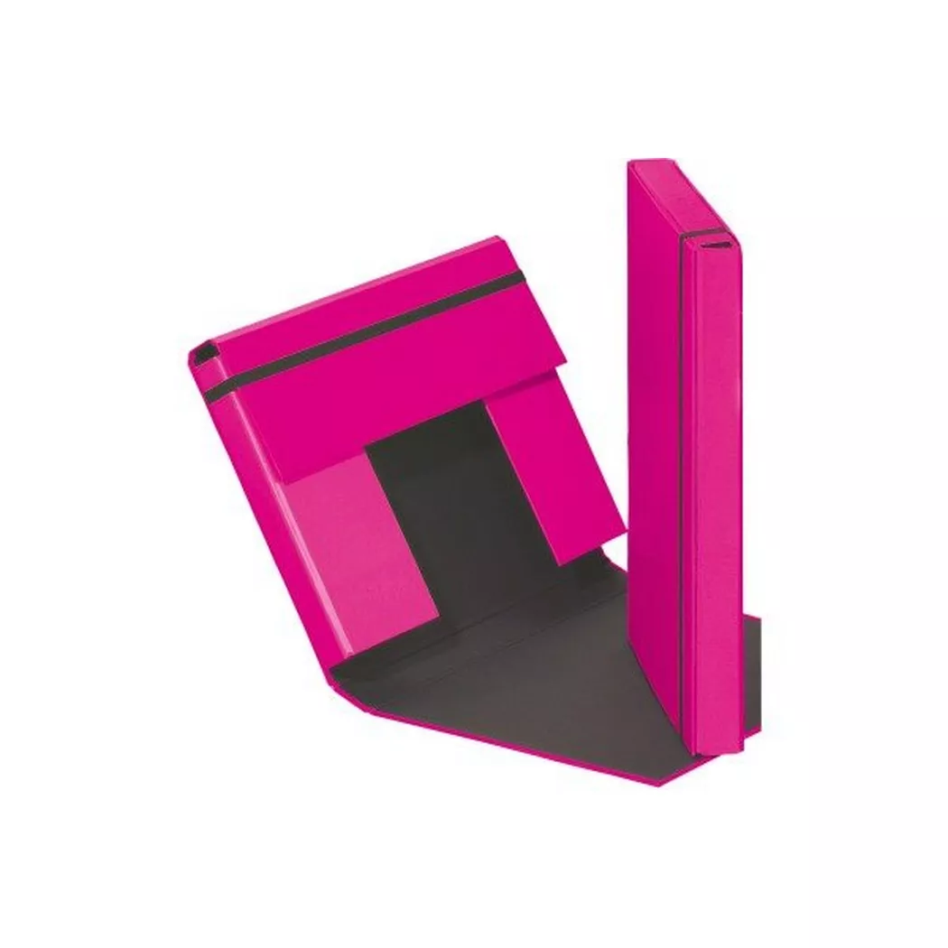 Pagna -  Sammelbox Trend A4 21308-34 Gummizugverschluss rosa, 21cm