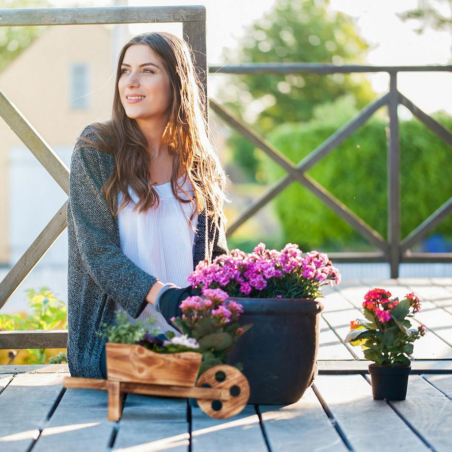 B2X Holzschubkarre für Pflanzen  