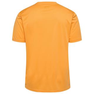 Hummel  maillot active pl 