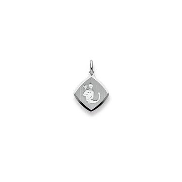 Pendentif signe du zodiaque verseau en or blanc 750, 19x13mm