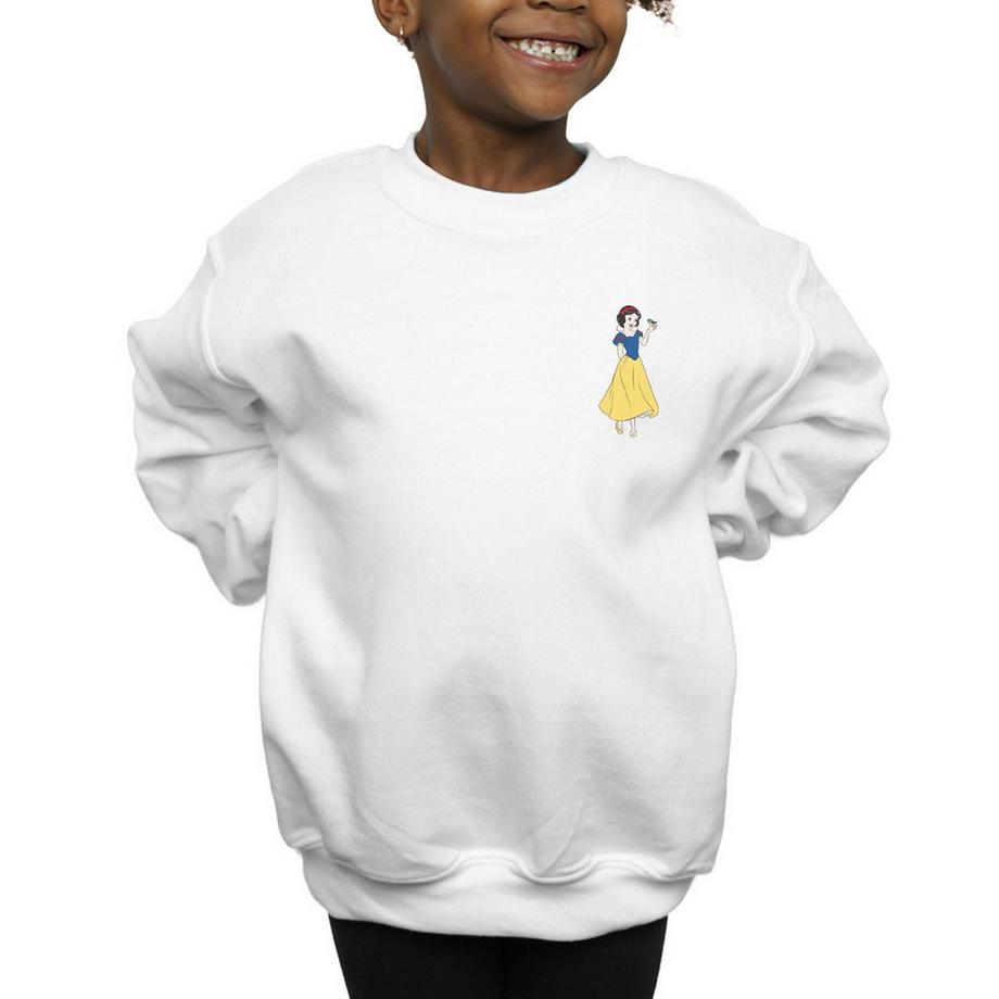 Disney PRINCESS  Sweatshirt 