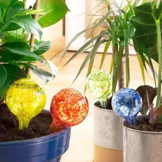 InnovaGoods 4x globes d'arrosage en verre