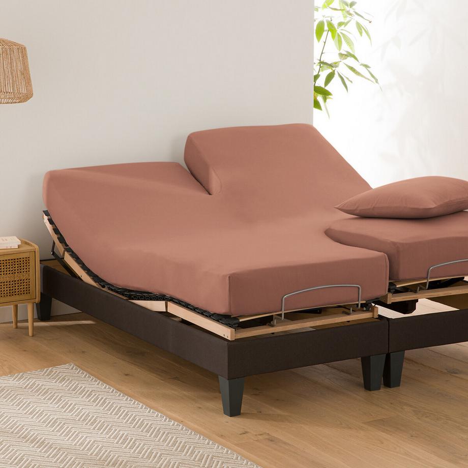 La Redoute Intérieurs Drap housse Scenario pour lit double réglable  