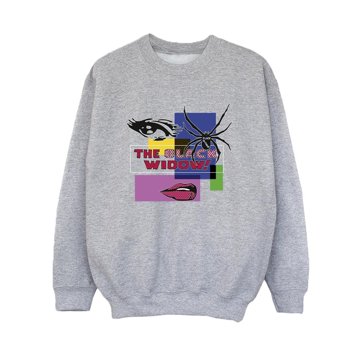 Image of Black Widow Pop Art Sweatshirt Jungen Grau 104