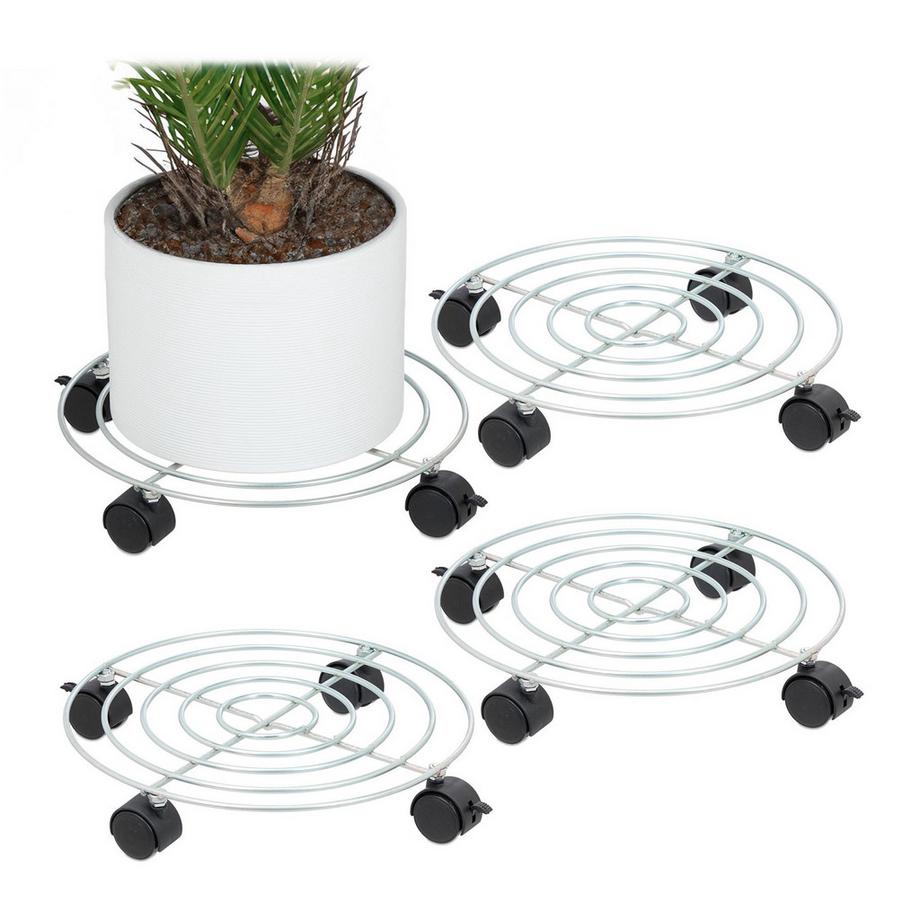 Set di 4 piante da scegliere