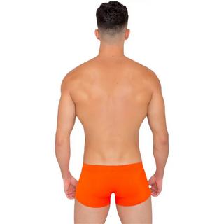 Bwet  boxer de bain brighton 