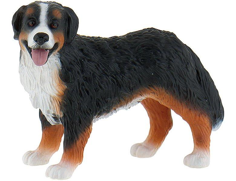 Image of Animal World Berner Sennenhund Bianca