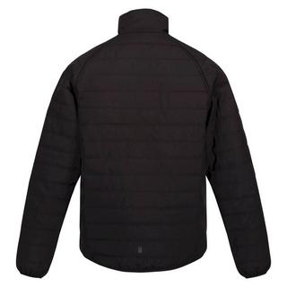 Regatta  Bennick Steppjacke 