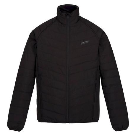 Regatta  Bennick Steppjacke 