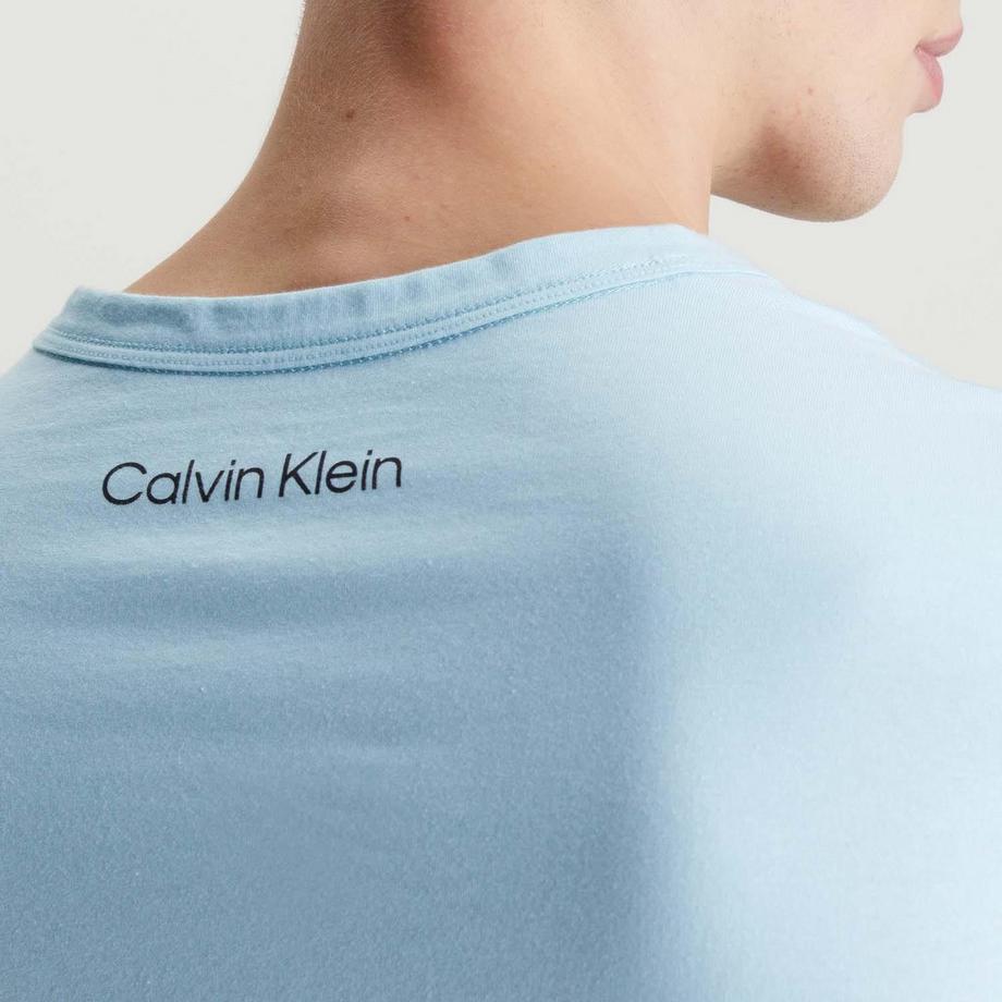 Calvin Klein Logo Regular Fit T-Shirt  