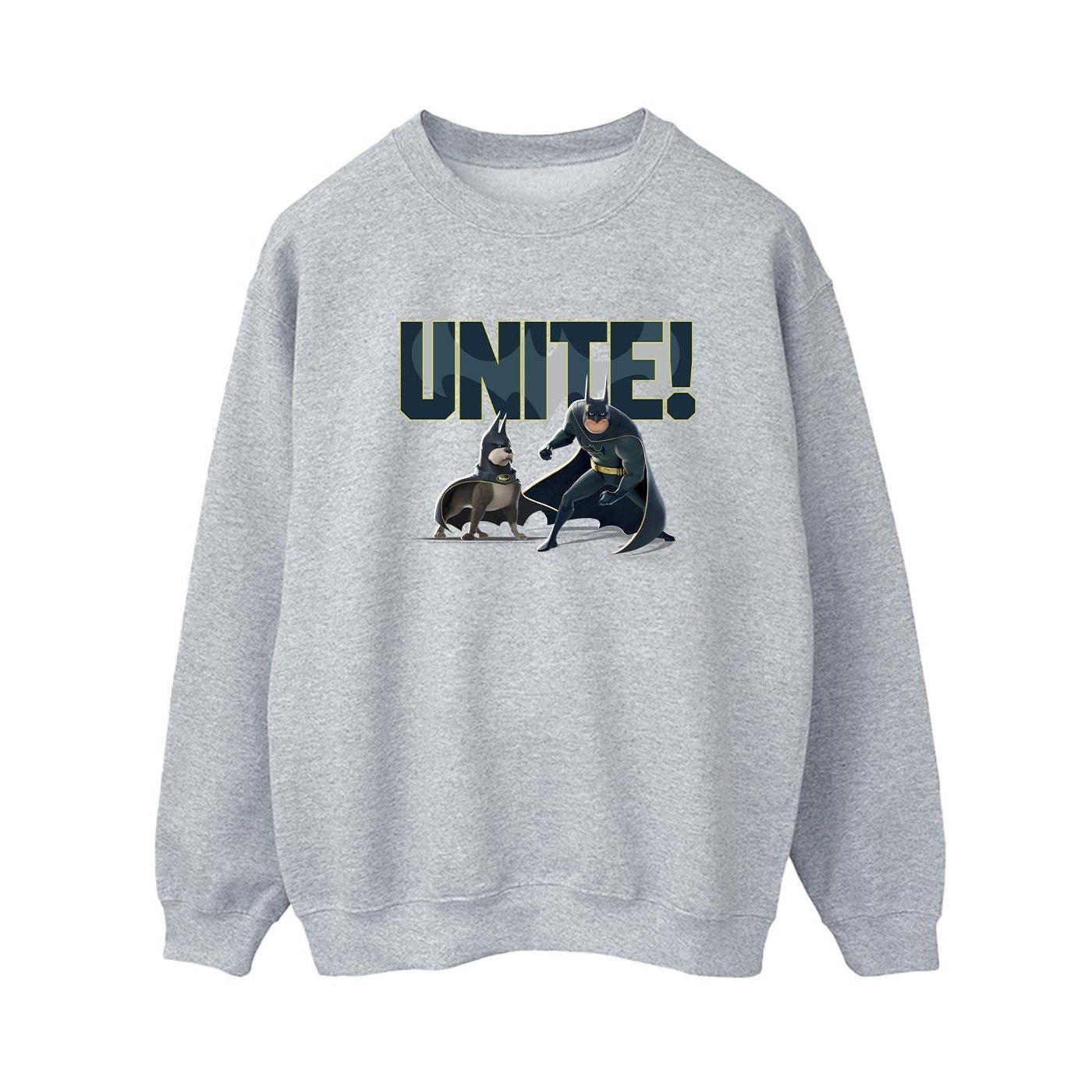 Image of Dc League Of Superpets Unite Pair Sweatshirt Damen Grau M