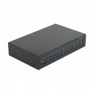 DeLock  USB 3.2 Hub (10Ports) 