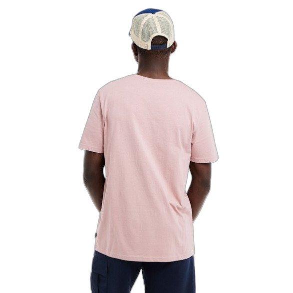 PROTEST Prtsharm Grafikdruck T-Shirt  