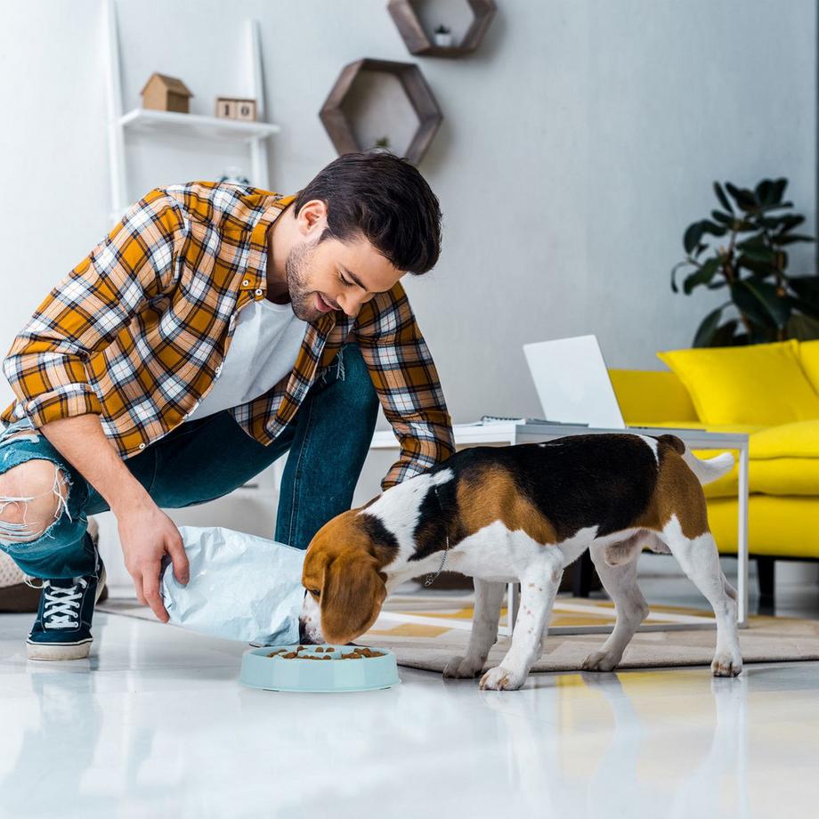 B2X  Anti-Schlingschüssel 550 ml 