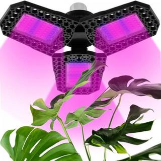 eStore Eclairage LED pour plantes  