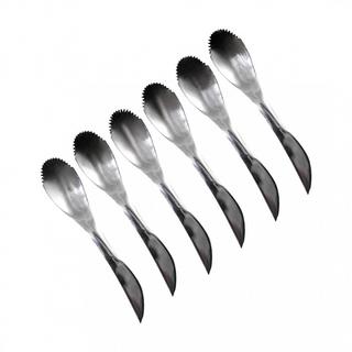 Aulica  SET 6 CUIL. INOX KIWI/PAMPLEMOUSSE 