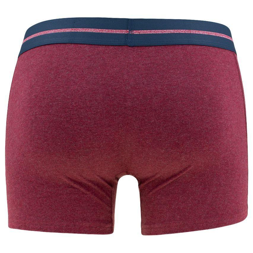 Superdry  boxer in cotone biologico uperdry (x3) 