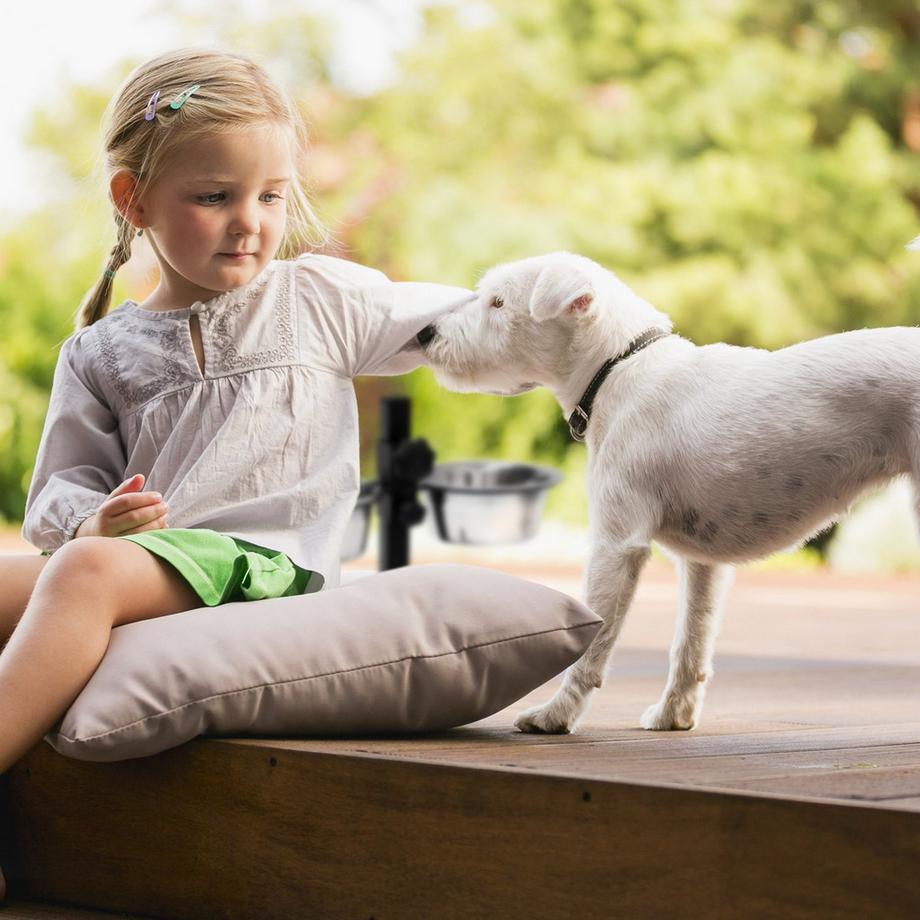 B2X  La station d'alimentation pour chiens peut être relevée et abaissée 