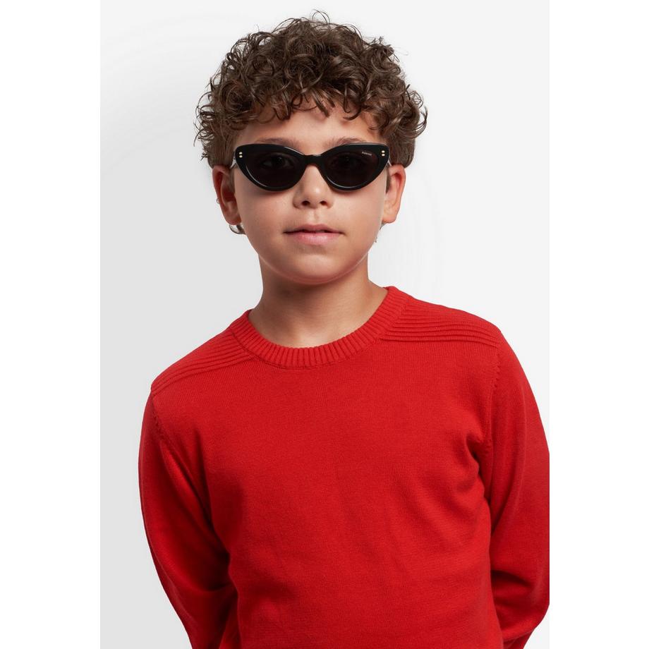 Polaroid  PLD 8068/S lunettes de soleil 