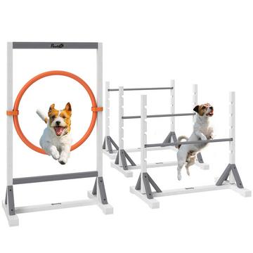 Ensemble d'agilité pour animaux de compagnie